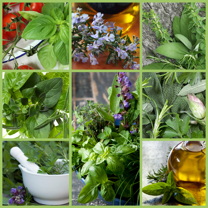 Heal with Herbs